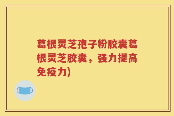 葛根灵芝孢子粉胶囊葛根灵芝胶囊，强力提高免疫力)