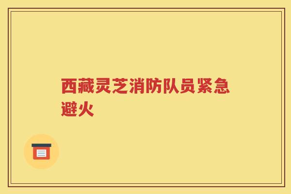 西藏灵芝消防队员紧急避火