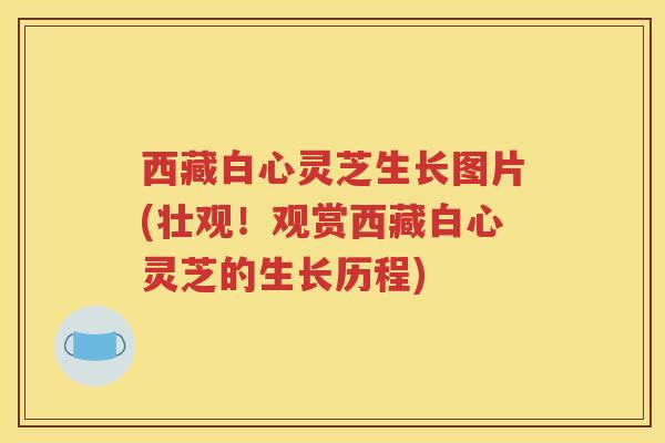 西藏白心灵芝生长图片(壮观！观赏西藏白心灵芝的生长历程)