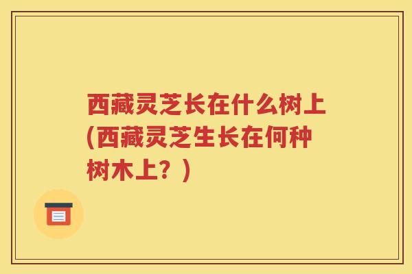 西藏灵芝长在什么树上(西藏灵芝生长在何种树木上？)