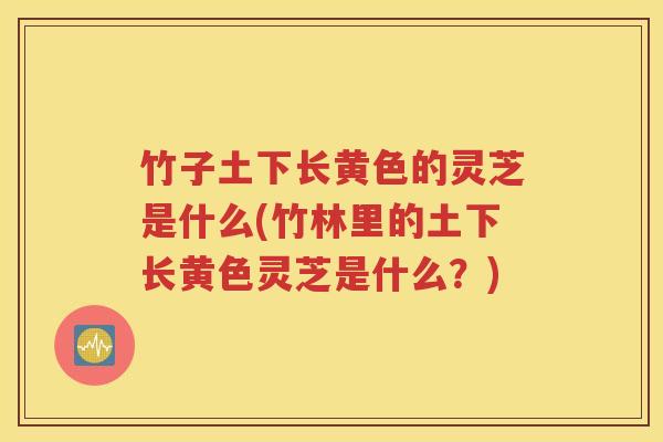 竹子土下长黄色的灵芝是什么(竹林里的土下长黄色灵芝是什么？)
