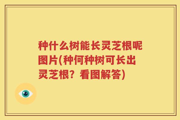 种什么树能长灵芝根呢图片(种何种树可长出灵芝根？看图解答)