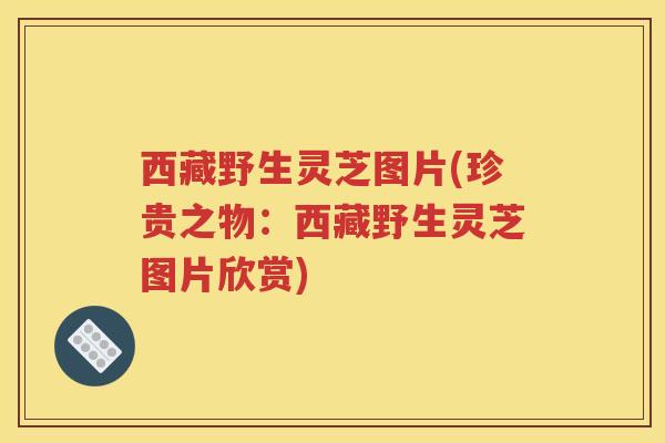 西藏野生灵芝图片(珍贵之物：西藏野生灵芝图片欣赏)