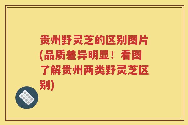 贵州野灵芝的区别图片(品质差异明显！看图了解贵州两类野灵芝区别)
