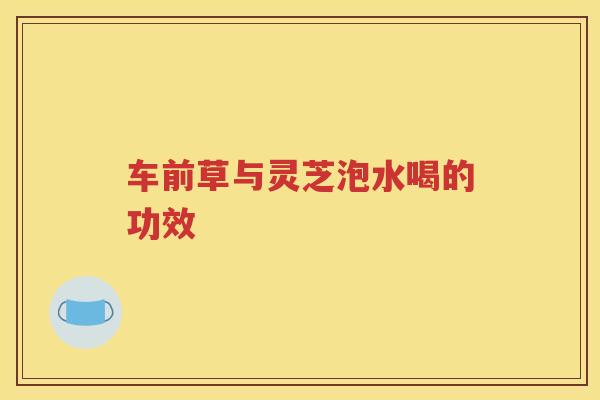 车前草与灵芝泡水喝的功效