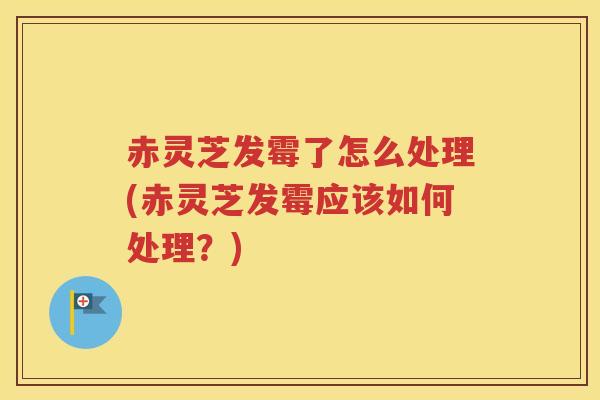 赤灵芝发霉了怎么处理(赤灵芝发霉应该如何处理？)