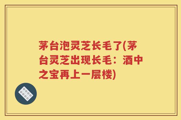 茅台泡灵芝长毛了(茅台灵芝出现长毛：酒中之宝再上一层楼)