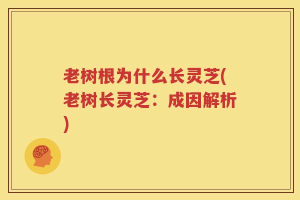 老树根为什么长灵芝(老树长灵芝：成因解析)