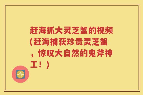 赶海抓大灵芝蟹的视频(赶海捕获珍贵灵芝蟹，惊叹大自然的鬼斧神工！)