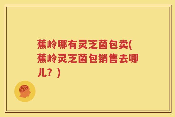 蕉岭哪有灵芝菌包卖(蕉岭灵芝菌包销售去哪儿？)