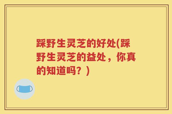 踩野生灵芝的好处(踩野生灵芝的益处，你真的知道吗？)