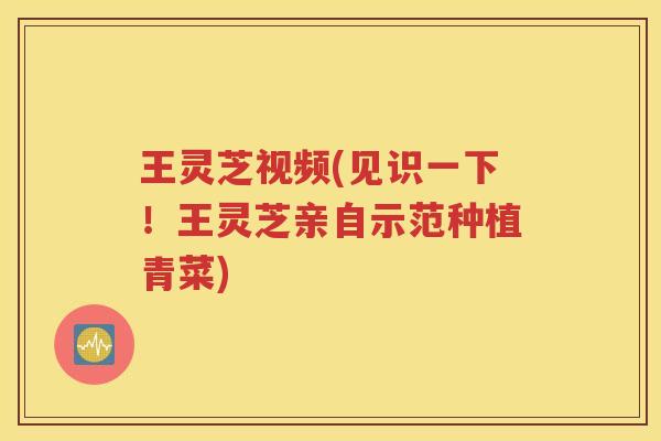 王灵芝视频(见识一下！王灵芝亲自示范种植青菜)