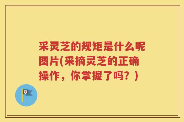 采灵芝的规矩是什么呢图片(采摘灵芝的正确操作，你掌握了吗？)