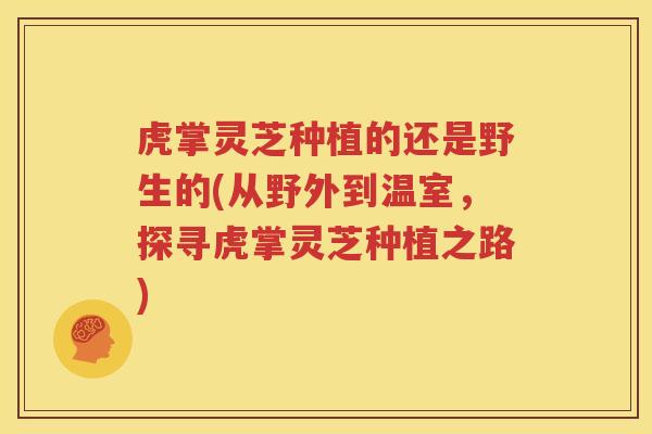 虎掌灵芝种植的还是野生的(从野外到温室，探寻虎掌灵芝种植之路)