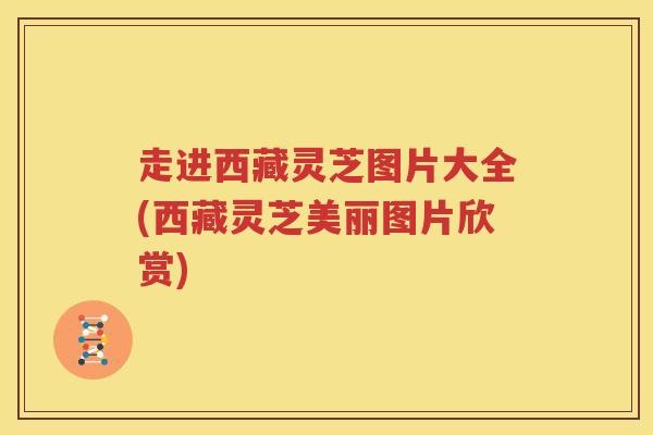 走进西藏灵芝图片大全(西藏灵芝美丽图片欣赏)