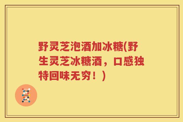 野灵芝泡酒加冰糖(野生灵芝冰糖酒，口感独特回味无穷！)