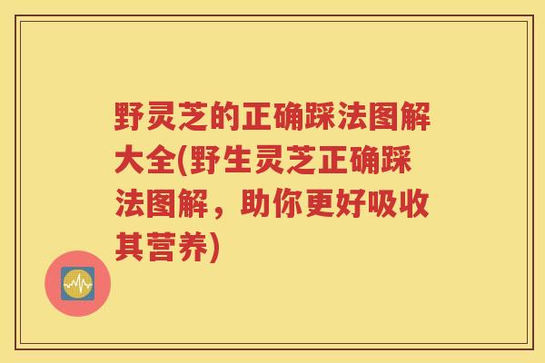 野灵芝的正确踩法图解大全(野生灵芝正确踩法图解，助你更好吸收其营养)