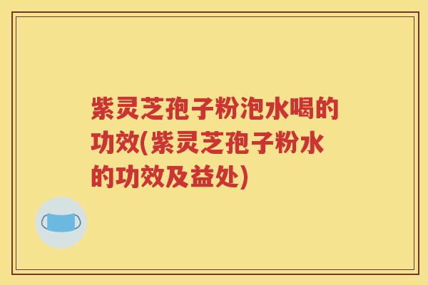 紫灵芝孢子粉泡水喝的功效(紫灵芝孢子粉水的功效及益处)