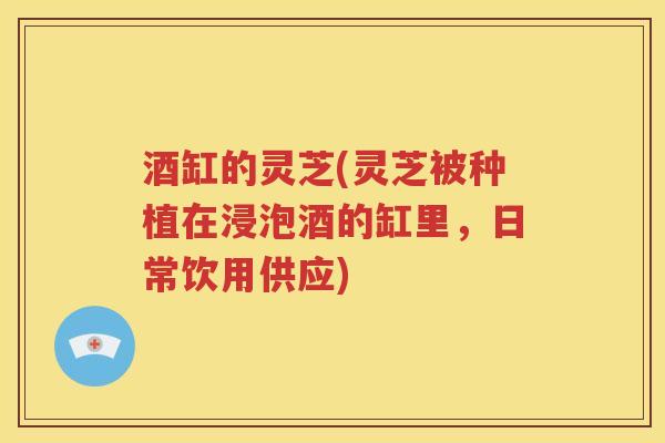 酒缸的灵芝(灵芝被种植在浸泡酒的缸里，日常饮用供应)
