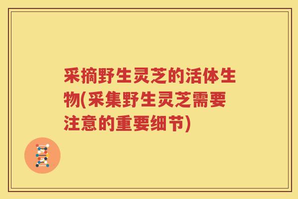 采摘野生灵芝的活体生物(采集野生灵芝需要注意的重要细节)