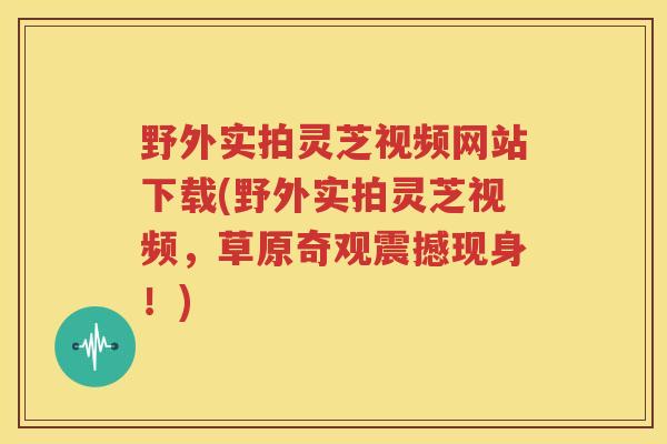 野外实拍灵芝视频网站下载(野外实拍灵芝视频，草原奇观震撼现身！)