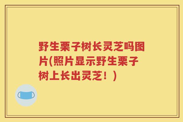 野生栗子树长灵芝吗图片(照片显示野生栗子树上长出灵芝！)