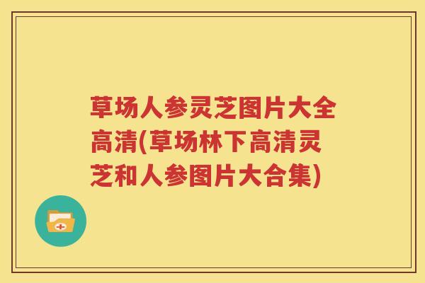 草场人参灵芝图片大全高清(草场林下高清灵芝和人参图片大合集)