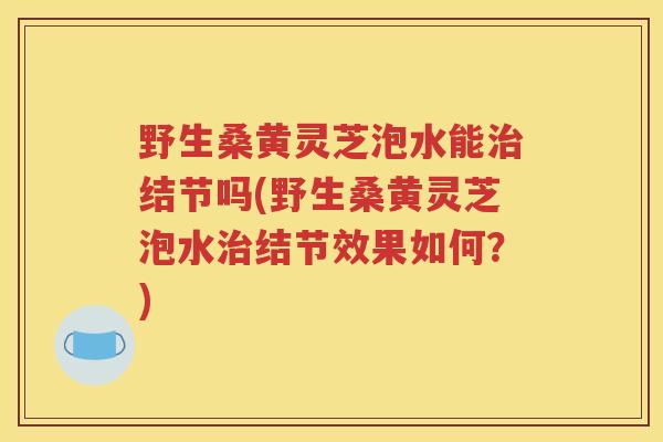 野生桑黄灵芝泡水能治结节吗(野生桑黄灵芝泡水治结节效果如何？)