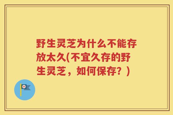 野生灵芝为什么不能存放太久(不宜久存的野生灵芝，如何保存？)