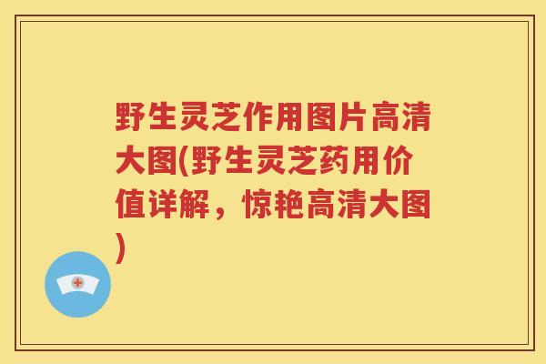 野生灵芝作用图片高清大图(野生灵芝药用价值详解，惊艳高清大图)
