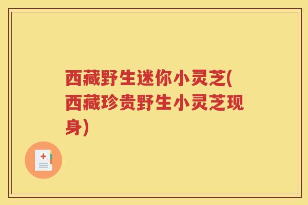西藏野生迷你小灵芝(西藏珍贵野生小灵芝现身)
