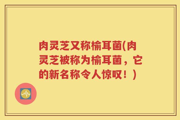 肉灵芝又称榆耳菌(肉灵芝被称为榆耳菌，它的新名称令人惊叹！)