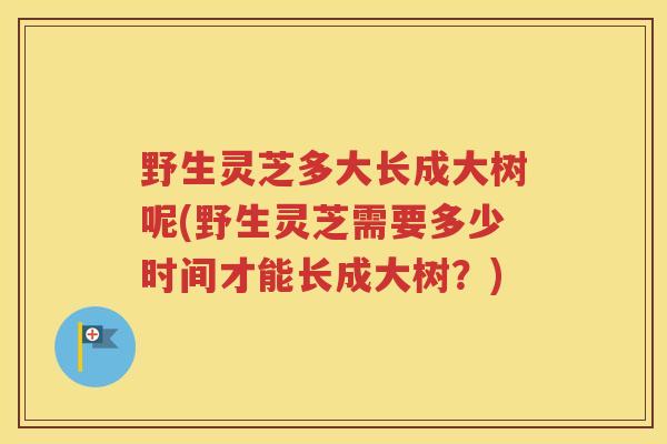 野生灵芝多大长成大树呢(野生灵芝需要多少时间才能长成大树？)