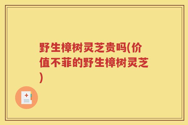 野生樟树灵芝贵吗(价值不菲的野生樟树灵芝)