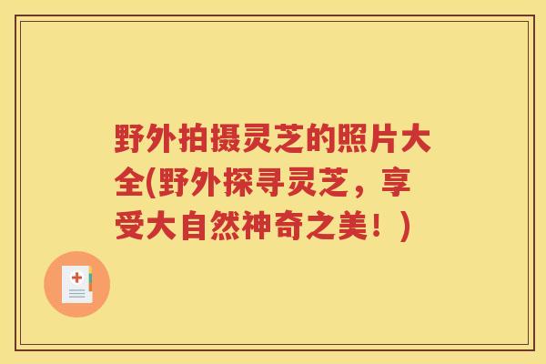 野外拍摄灵芝的照片大全(野外探寻灵芝，享受大自然神奇之美！)