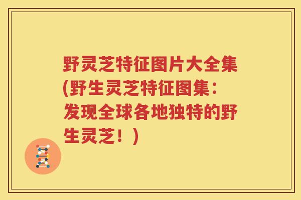 野灵芝特征图片大全集(野生灵芝特征图集：发现全球各地独特的野生灵芝！)