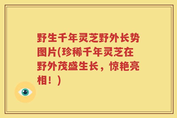 野生千年灵芝野外长势图片(珍稀千年灵芝在野外茂盛生长，惊艳亮相！)