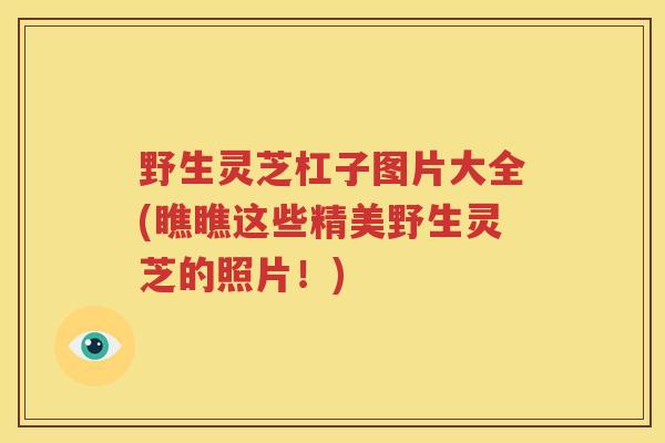 野生灵芝杠子图片大全(瞧瞧这些精美野生灵芝的照片！)