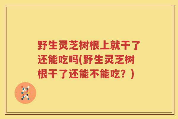 野生灵芝树根上就干了还能吃吗(野生灵芝树根干了还能不能吃？)