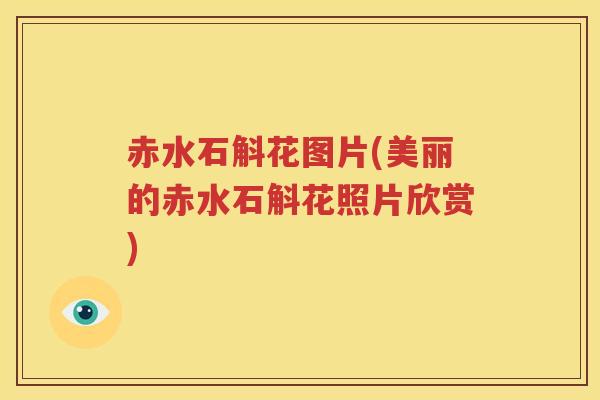 赤水石斛花图片(美丽的赤水石斛花照片欣赏)