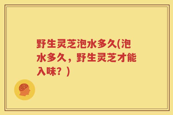 野生灵芝泡水多久(泡水多久，野生灵芝才能入味？)