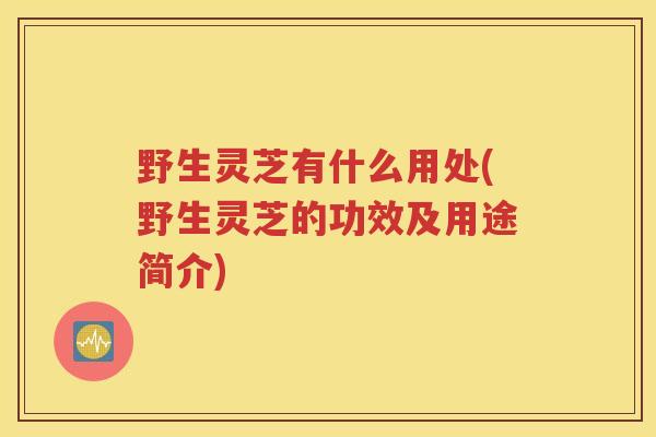 野生灵芝有什么用处(野生灵芝的功效及用途简介)