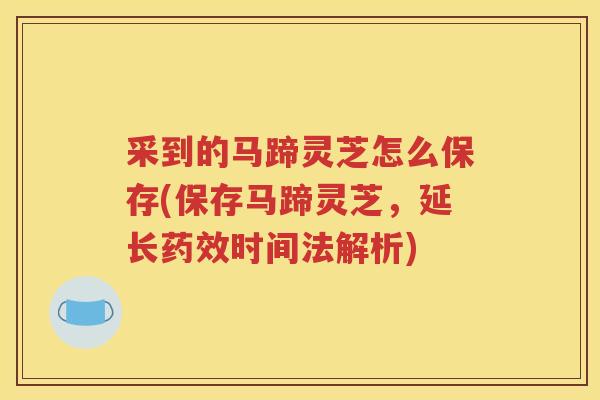 采到的马蹄灵芝怎么保存(保存马蹄灵芝，延长药效时间法解析)