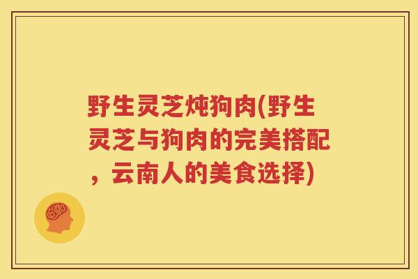 野生灵芝炖狗肉(野生灵芝与狗肉的完美搭配，云南人的美食选择)