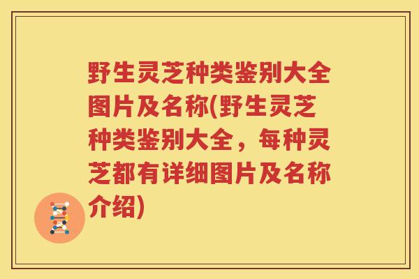 野生灵芝种类鉴别大全图片及名称(野生灵芝种类鉴别大全，每种灵芝都有详细图片及名称介绍)