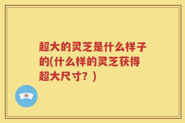超大的灵芝是什么样子的(什么样的灵芝获得超大尺寸？)