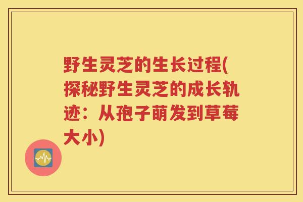 野生灵芝的生长过程(探秘野生灵芝的成长轨迹：从孢子萌发到草莓大小)