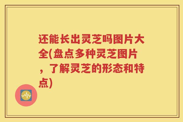 还能长出灵芝吗图片大全(盘点多种灵芝图片，了解灵芝的形态和特点)
