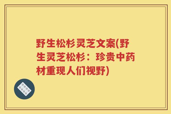 野生松杉灵芝文案(野生灵芝松杉：珍贵中药材重现人们视野)