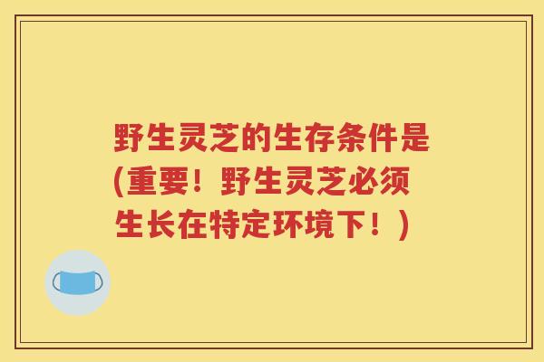 野生灵芝的生存条件是(重要！野生灵芝必须生长在特定环境下！)